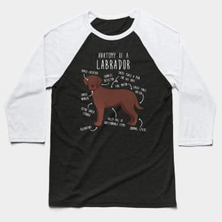 Chocolate Labrador Retriever Dog Anatomy Baseball T-Shirt